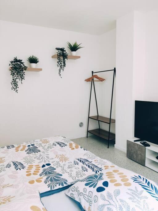 Magnifique Appartement T3 50 M2 Obernai Eksteriør billede