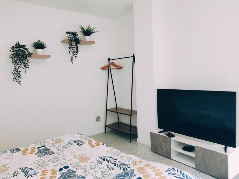 Magnifique Appartement T3 50 M2 Obernai Eksteriør billede